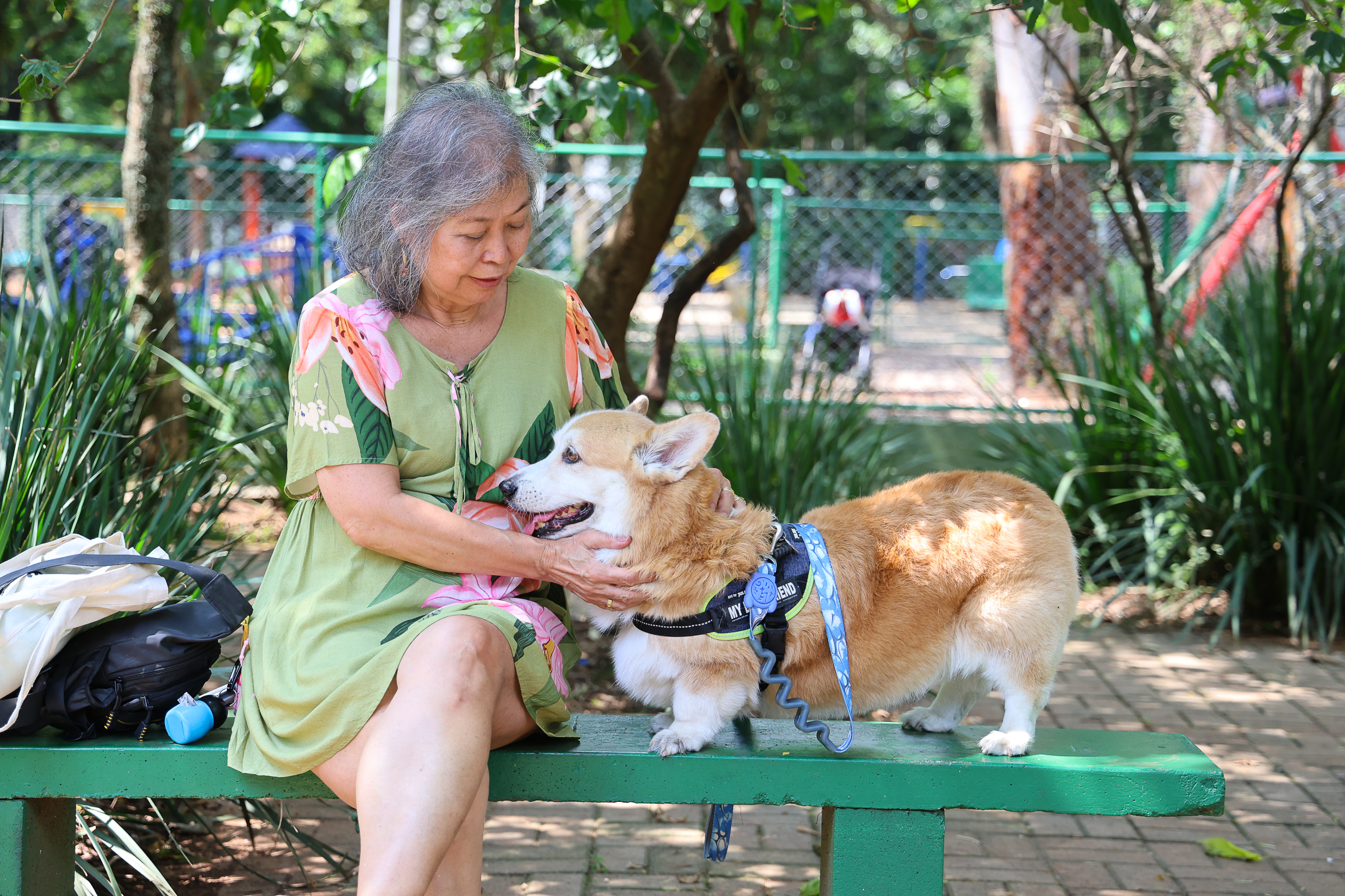 Marina e Toddy passeando